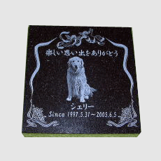 tombstone image,CL-PM014