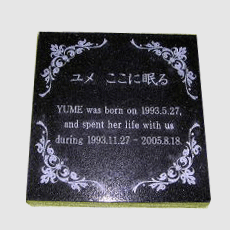 tombstone image,CL-PM020
